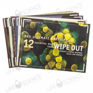 Set of all 7 Color Brochures