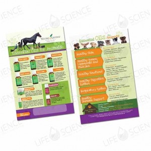 Essential Oils for Animals Flyer  (100 pack)