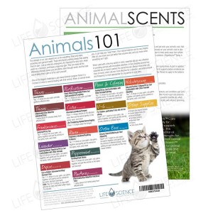 Animals 101 Tear Pad