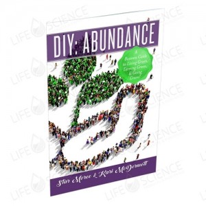 DIY: Abundance