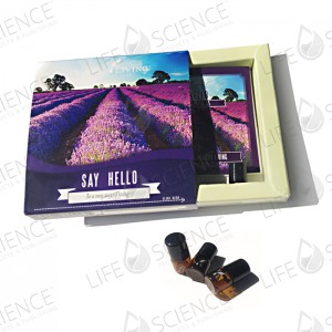 Say Hello Experience Kit