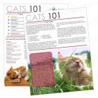 Cats 101 Tear Pad (50 Sheets)