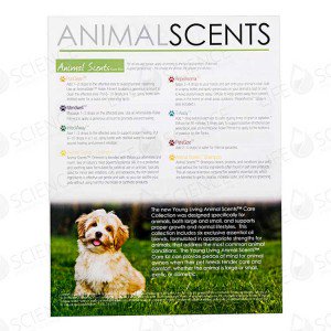 Animals 101 Tear Pad (50 Sheets)