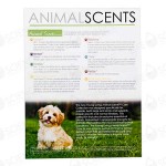 Animals 101 Tear Pad (50 Sheets)